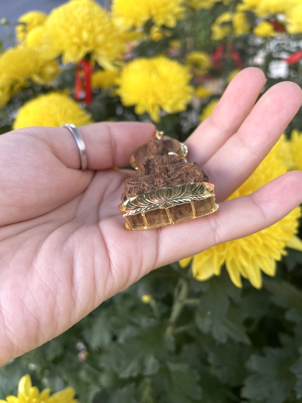 z4089897453001_51b931f474df99b2ea9d6b50395da672